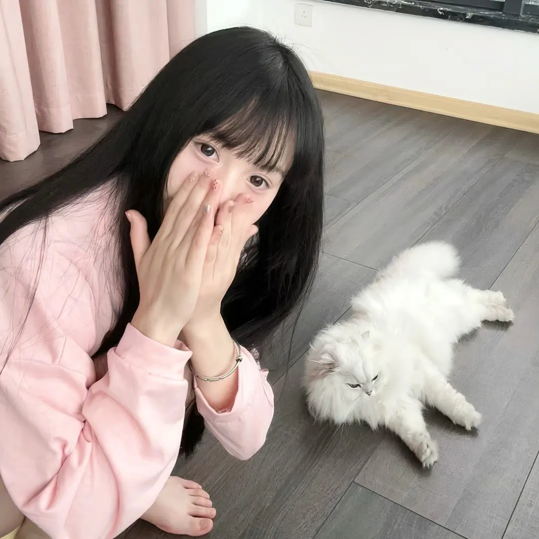 科搜研之女第24季
