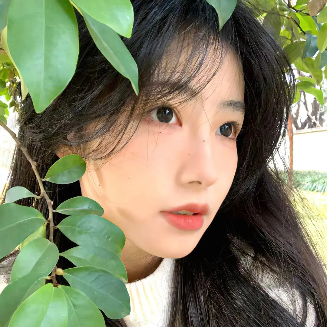 美丽心灵的永恒阳光